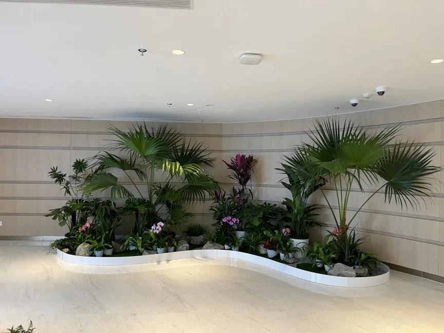 揭秘宁波奉化盆景租赁价格，你猜贵不贵？